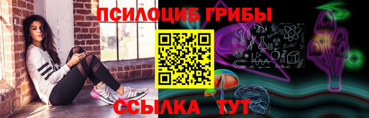 Псилоцибиновые грибы GOLDEN TEACHER  Вход с VPN  Саяногорск  Галлюциногенные грибы мицелий 